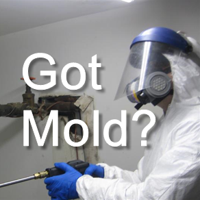 Montes Contracting got mold
